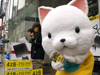 渋谷にタマ