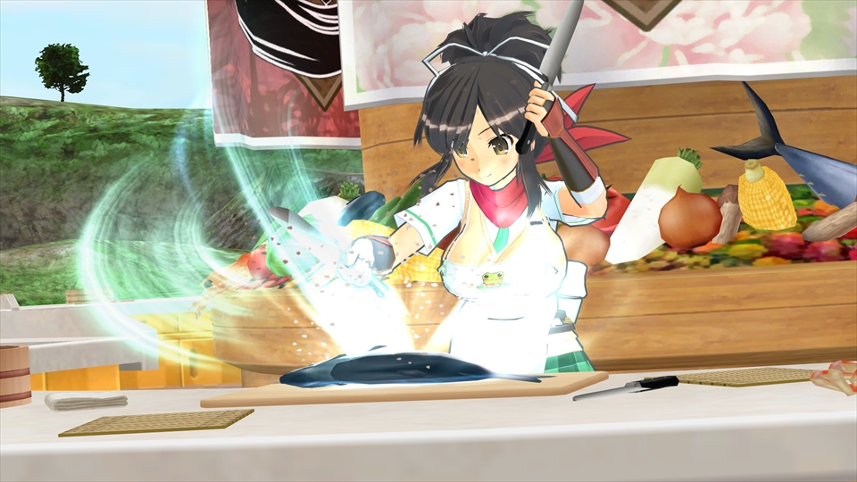 閃乱カグラ ESTIVAL VERSUS -少女達の選択- 予約特典タペストリー デカ盛り 閃乱カグラ アニメ ポスター B2サイズ デカ盛り シノビ