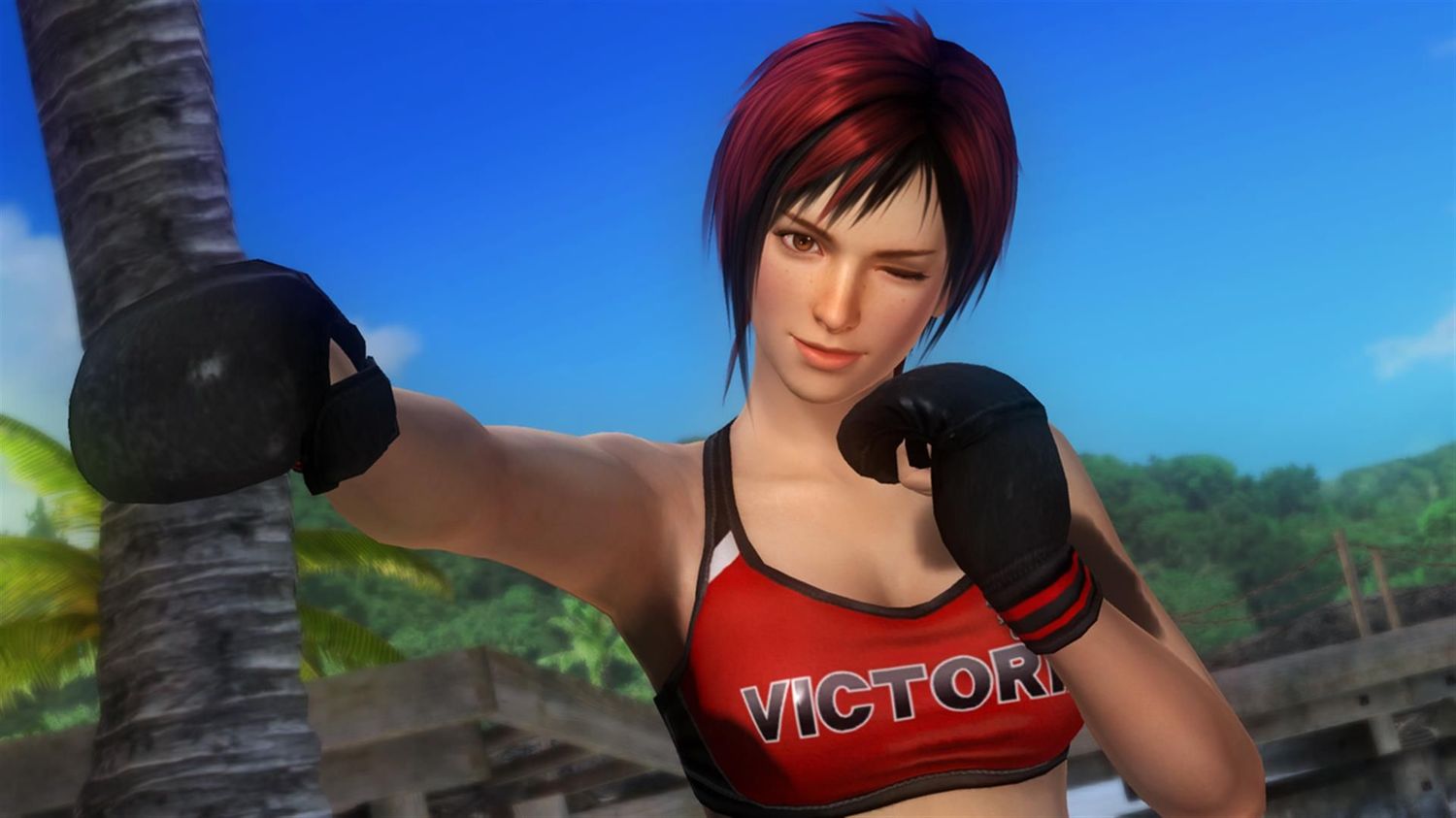 DEAD OR ALIVE 5 Last Round」、基本無料版累計800万DL！ - GAME Watch