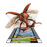 セガ、AC「甲虫王者ムシキング」限定3Dカードがもらえる