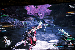 Mhw 珊瑚が生い茂り クラゲが宙を舞う幻想的な新フィールドを公開 Game Watch