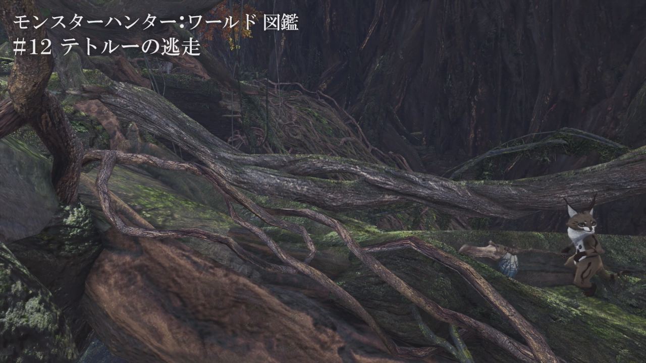 拡大画像 Mhw Web動画 モンスターハンター ワールド図鑑 の第2弾を公開 3 8 Game Watch