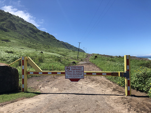 Forza Horizon 4 レビュー Game Watch