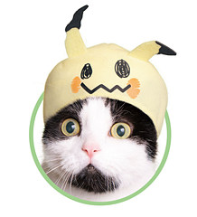 キタンクラブ カプセルトイ かわいい かわいい ねこのかぶりもの ポケットモンスター2 を発売 Game Watch