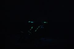 目の前に現われるポケモンたち そして東京にはジムが林立 Media Ambition Tokyo 内覧会で Pokemon Go Ar展望台 を体験してきた Game Watch