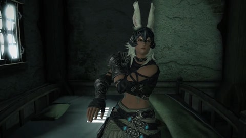 Ffxiv 新拡張 暁月のフィナーレ ヴィエラ男性がプレーヤー種族として実装 Game Watch