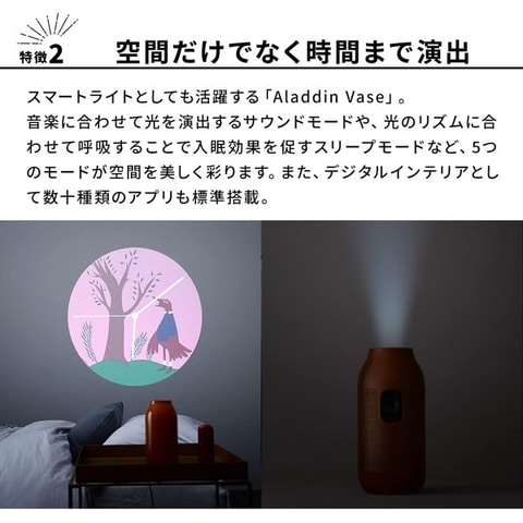 楽天スーパーsale にてプロジェクター Aladdin Vase と Dreamio が半額に Game Watch