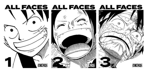 にかっと笑うルフィなど One Piece キャラクターの 顔 をまとめた書籍が発売決定 Game Watch