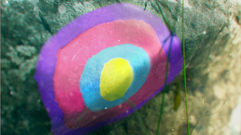 ポケモンsv 謎のマークの情報を公開 Game Watch