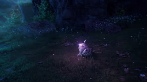 ポケモンsv 名称不明のゴーストタイプのポケモンを公開 ミステリアスな映像とともにお披露目 Game Watch