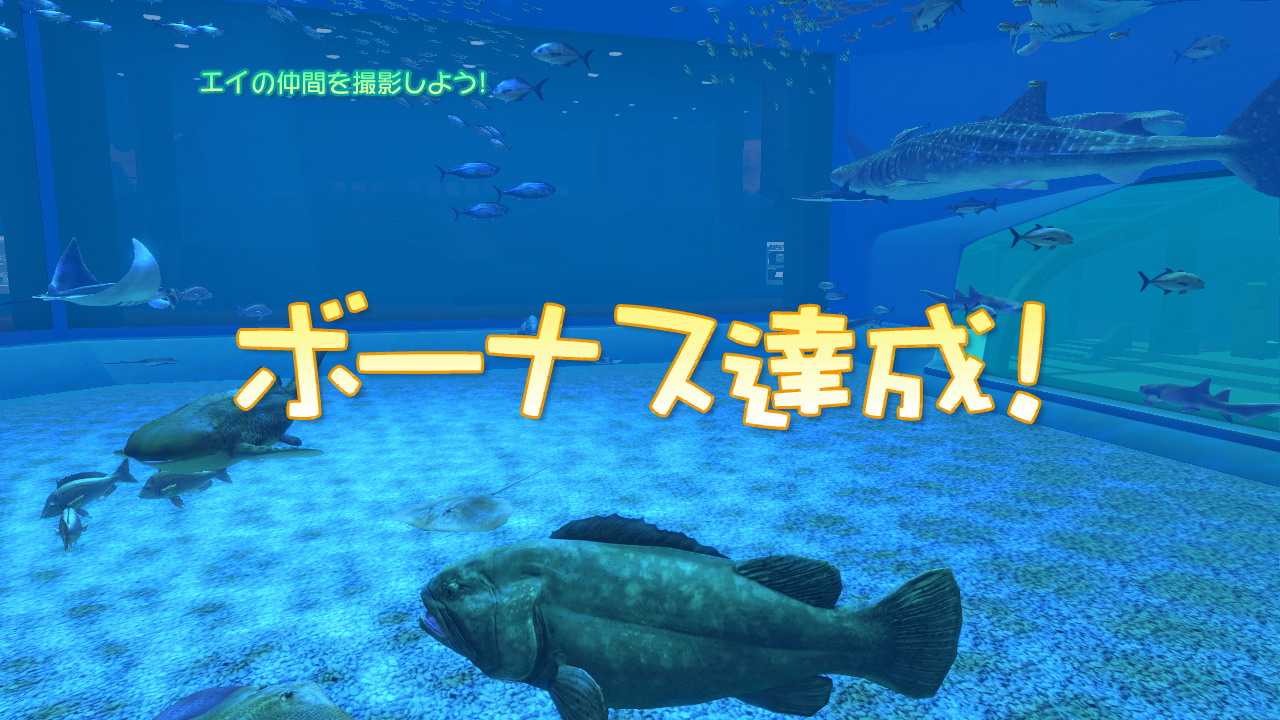 拡大画像 Scej Playstation Homeにて Sony Aquarium Vr 黒潮の海 オープン 沖縄美ら海 水族館 の大きな水槽を再現 Vr体験も可能に
