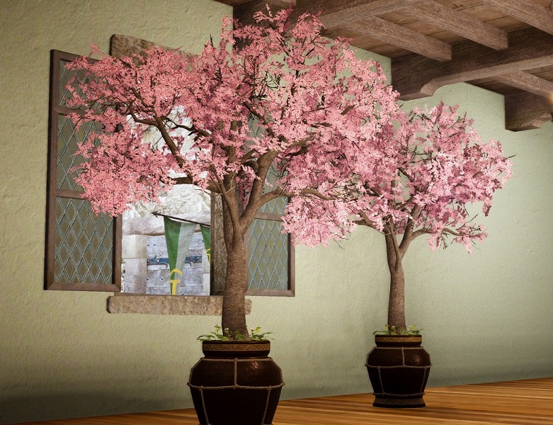選択した画像 桜 鉢植え 誕生 日 ライン 友達
