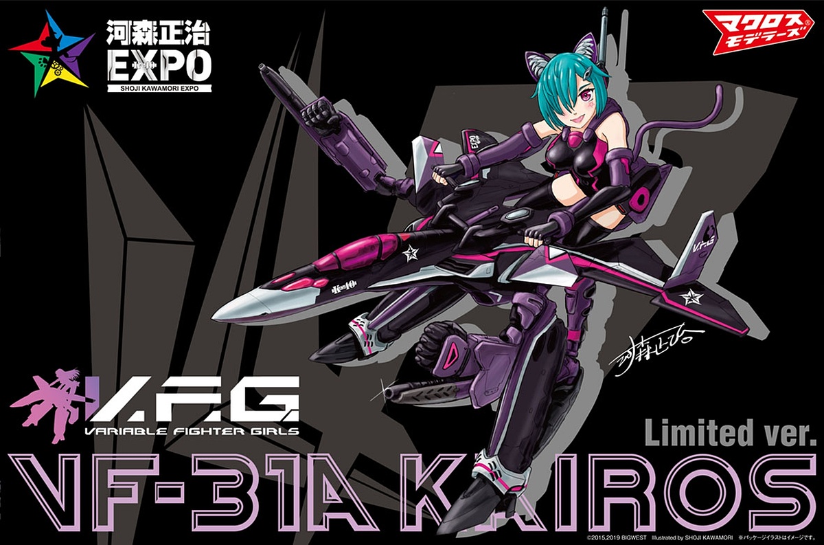 10/9まで販売】河森正治EXPOマクロスYF-19 limited ver. - プラモデル