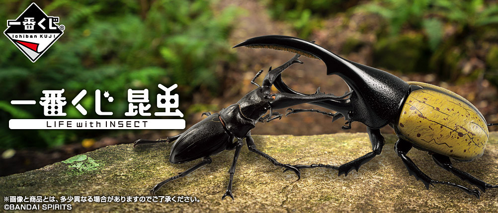 A賞は「ヘラクレスオオカブトフィギュア」！ 「一番くじ」最新作「昆虫 LIFE with INSECT」が登場予定 - GAME Watch