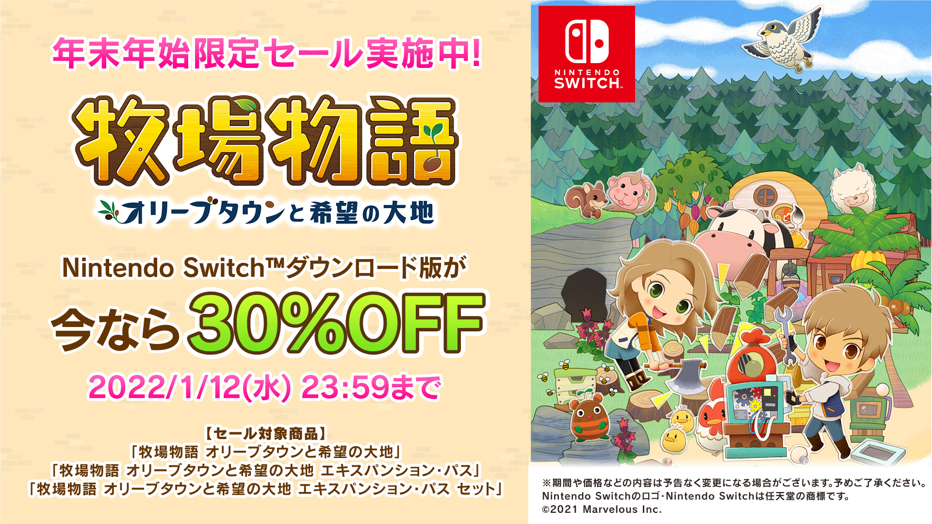 年末セール WII豪華セット送料込みの+rubbydesign.com