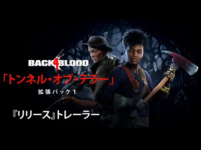 明日までに発送】バック・フォー・ブラッド PS4 初回限定版スキン