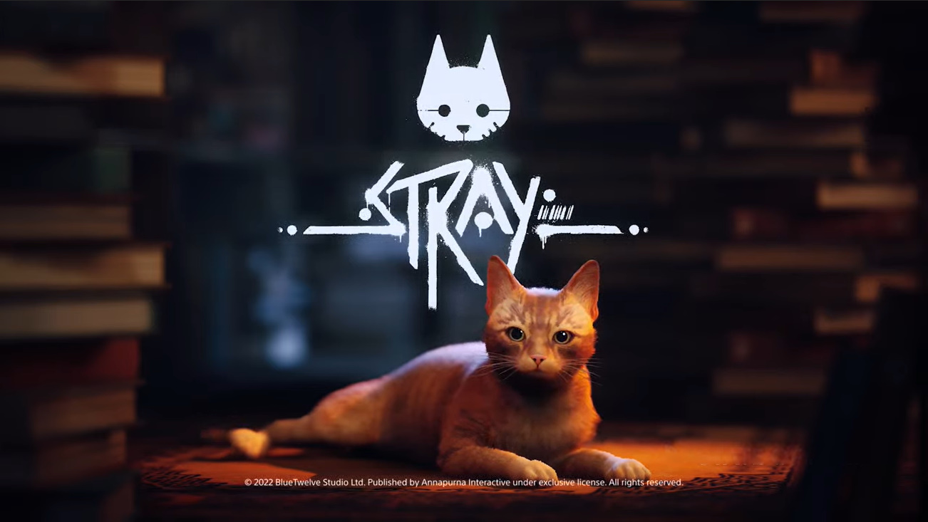 猫のサイバーアドベンチャー Stray 7月19日に発売決定 Game Watch