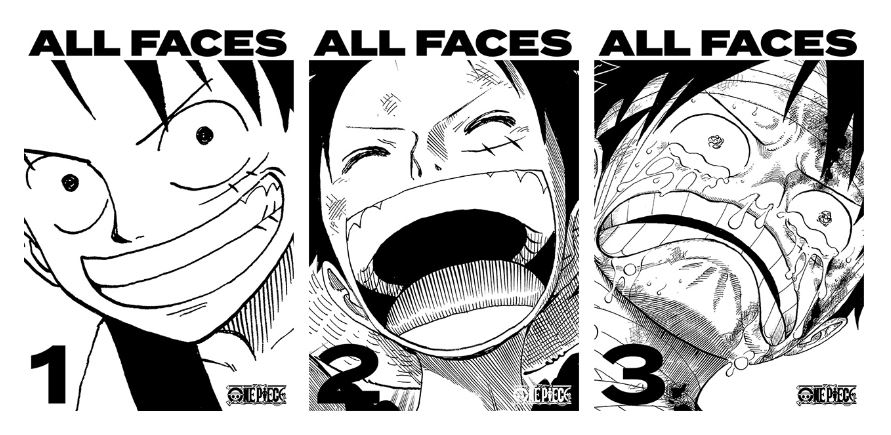 One Piece に登場する 顔 を集めたビジュアルブック3冊が本日発売 Game Watch