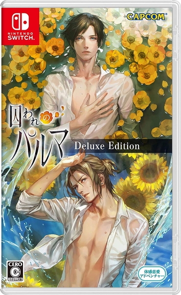 Switch「囚われのパルマ デラックス エディション」パッケージ版が楽天