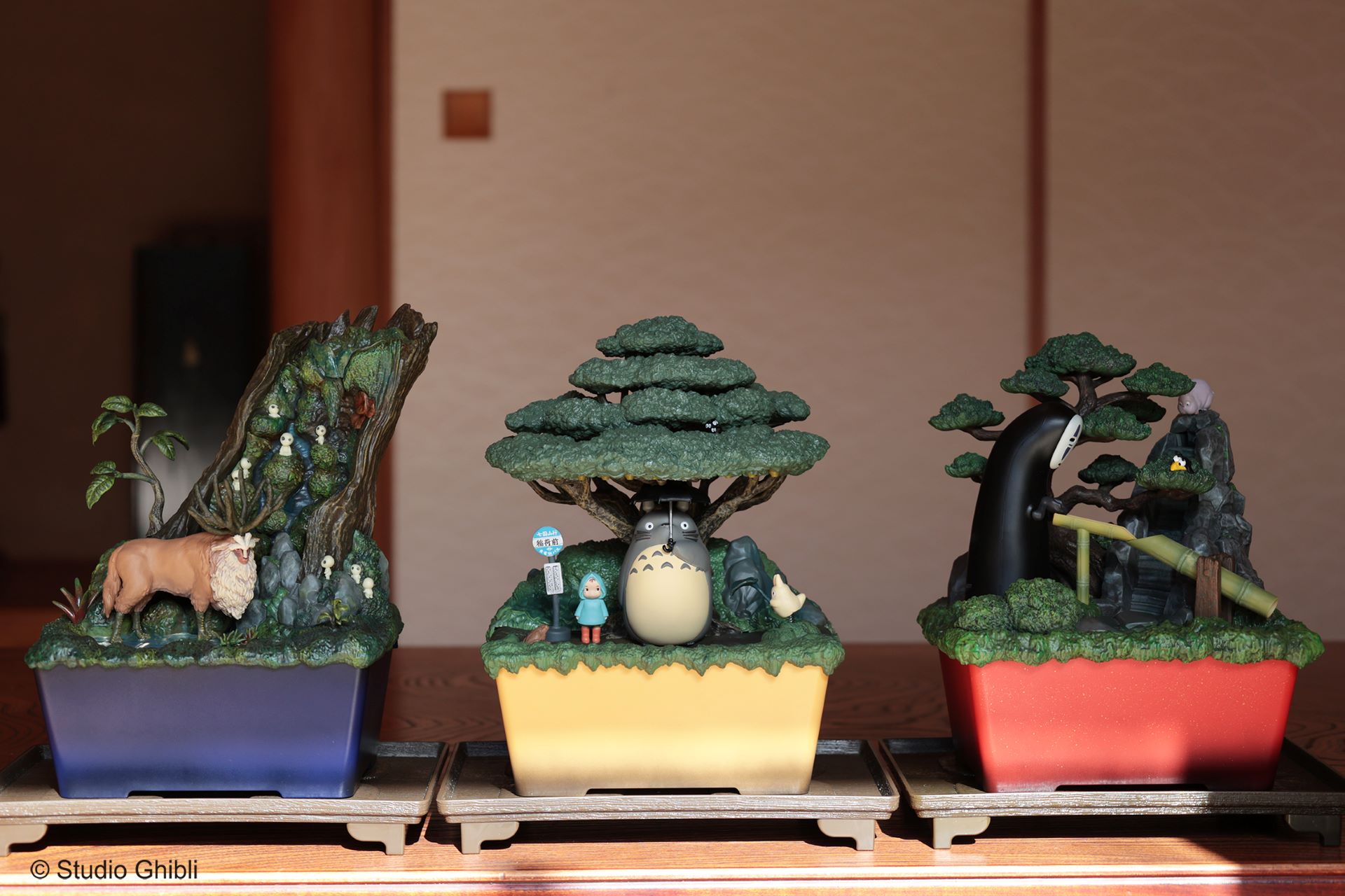 となりのトトロ ウォーターガーデン BONSAI 笠宿-