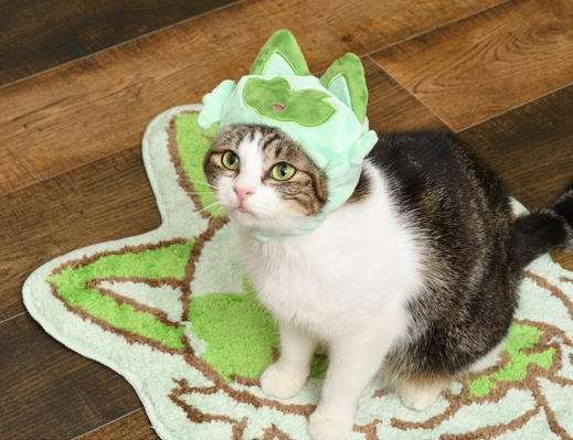 ポケモンセンターオリジナル ガラスポット にゃ！にゃにゃ！ニャオハ！ ポケモン ガラスポット にゃ！にゃにゃ！ニャオハ！ ポケモン