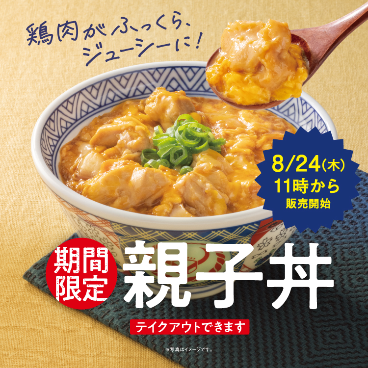 吉野家 薄まっ 2009年キャンペーン 丼ぶり 金文字 新品未使用