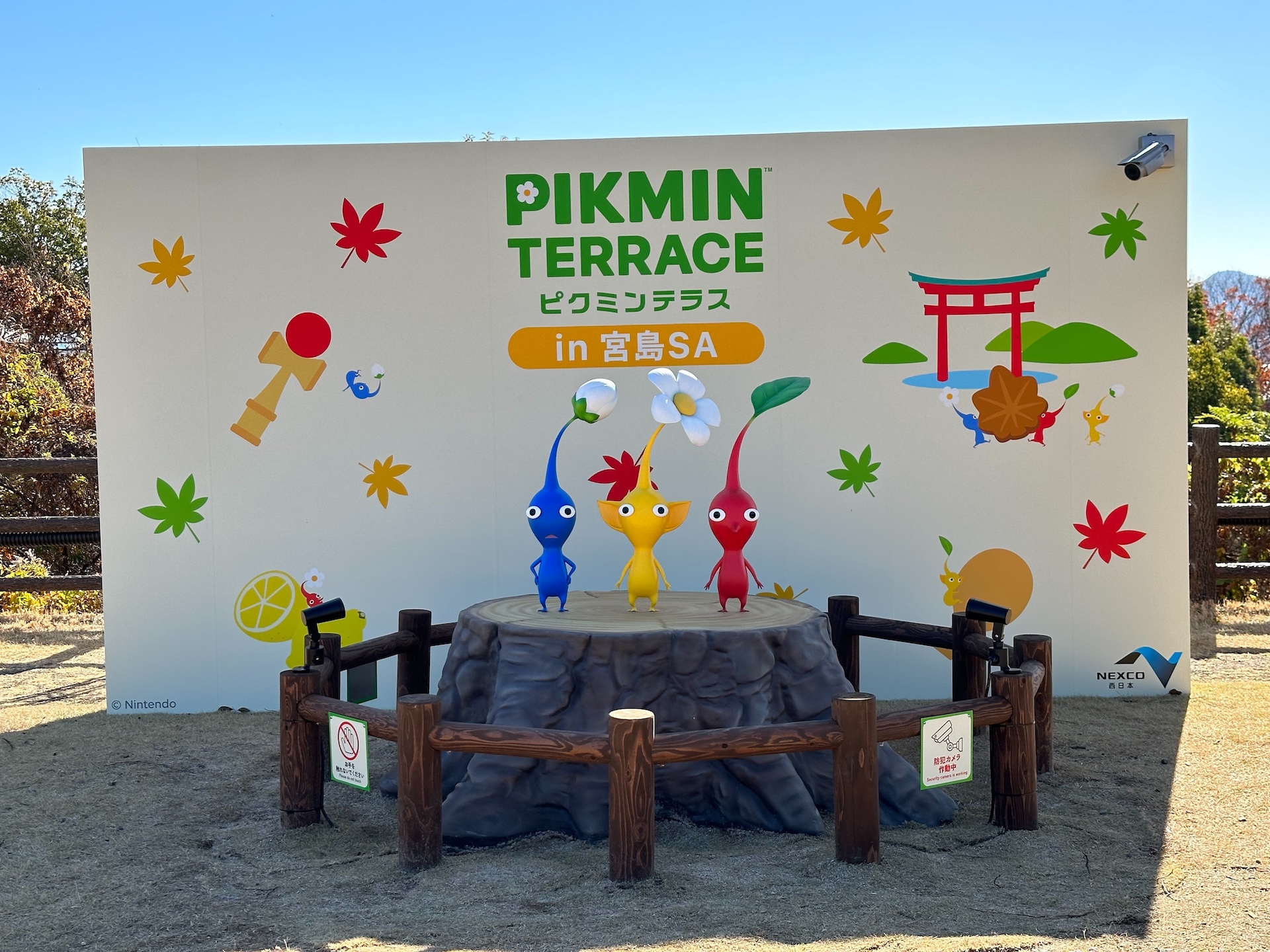 ピクミンテラス in 宮島SA」会場内の様子を写真でお届け！ - GAME Watch