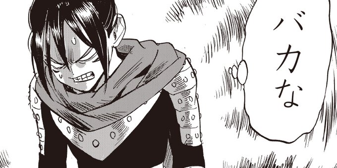 マンガ「ワンパンマン」第244話「そうだぞ！」が公開！ フラッシュの