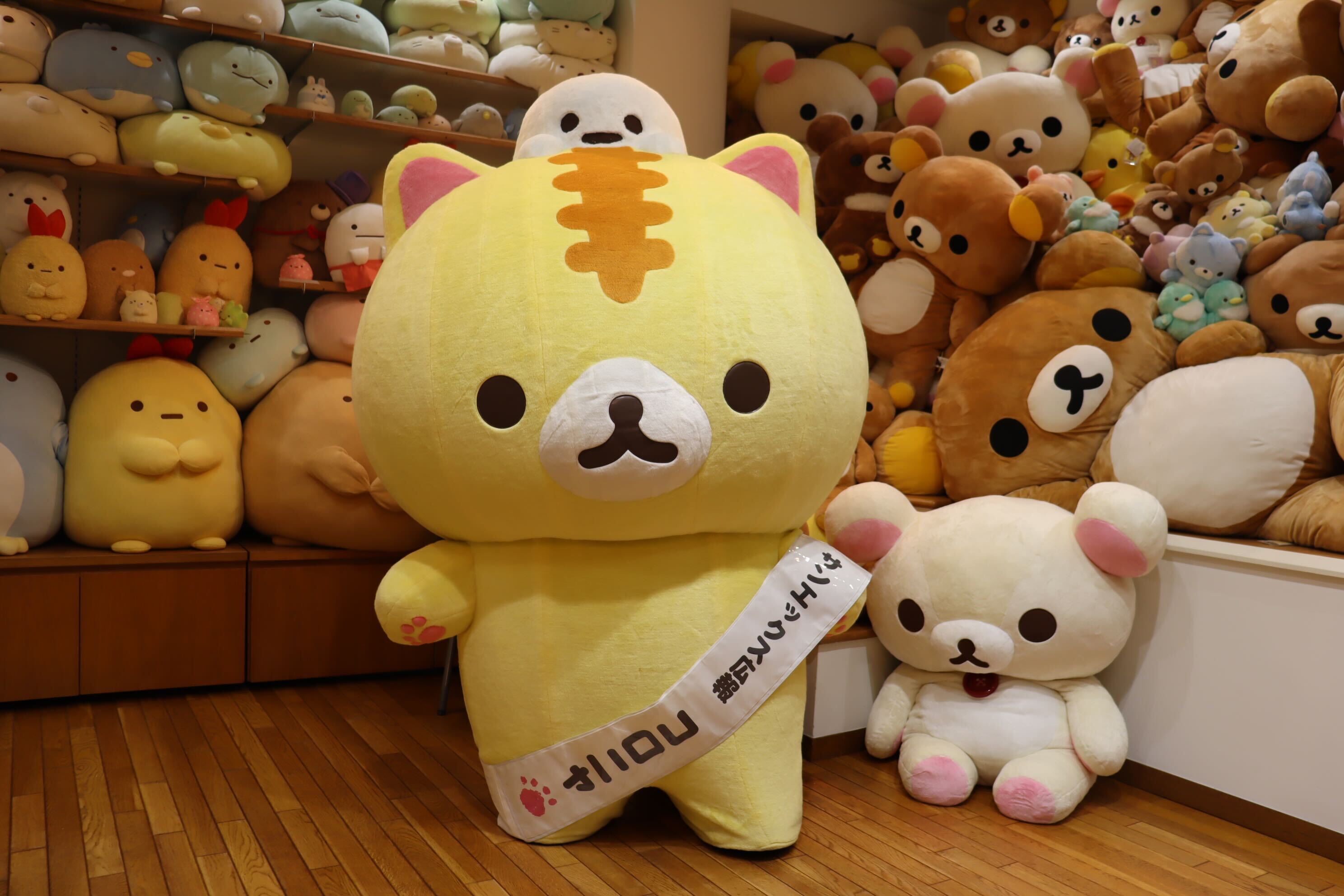 みーにゃさんご確認用 サンエックス「コロニャ」が記者会見!? 名刺ケースや