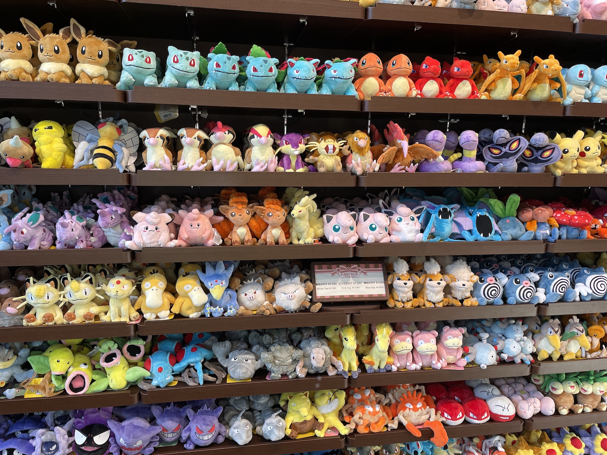 ポケモン】『ポケパーク カントー』グッズ撮り下ろし！ ポケモンの
